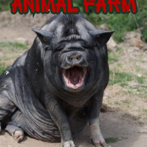 Animal Farm High School Book Study